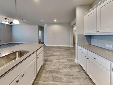 2348 Waggoner Ranch Dr, Weatherford, TX 76087 - photo 5