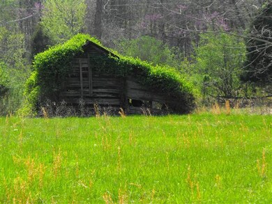 1906 Dancer Branch Rd, Stewart, TN 37175 - photo 6