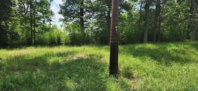 Lots 15-17 Potter Dr unit MCR 3638, Jefferson, TX 75657 - photo 2