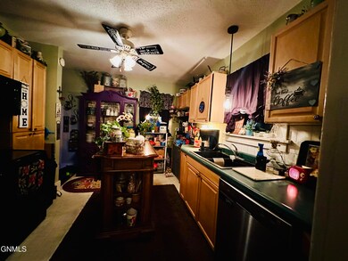 817 3rd Ave SE, Jamestown, ND 58401 - photo 4