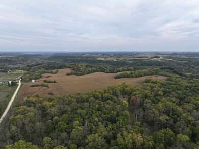 0 Fox Rd, Fayette, IA 52142 - photo 5