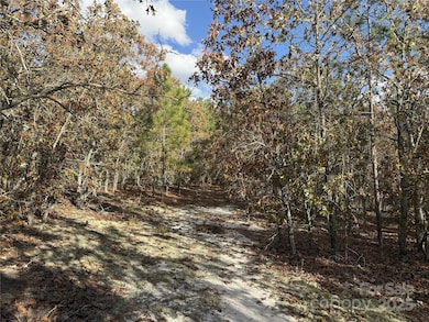 0 Fox Rd, Marston, NC 28363 - photo 4