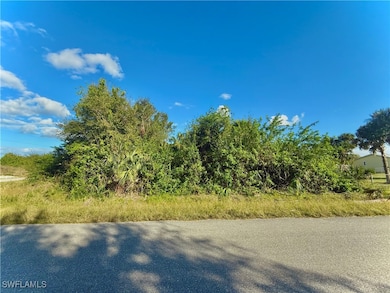 6156 Humboldt Ave, Lehigh Acres, FL 33905 - photo 2