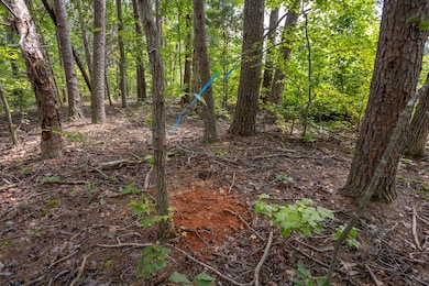 4.19 AC Leda Rd, Nathalie, VA 24577 - photo 3