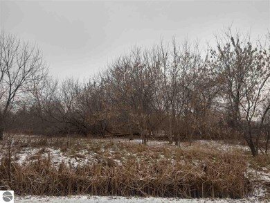 0 S Main St unit 1856110, Au Gres, MI 48703 - photo 2