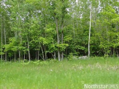 L4, B3 Cardarelle Cir, Hackensack, MN 56452 - photo 5