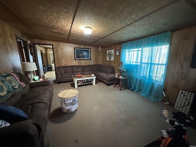 10 Palarm Creek Rd, Conway, AR 72032 - photo 4