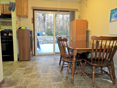 230 Hawthorn Ln, Kunkletown, PA 18058 - photo 6