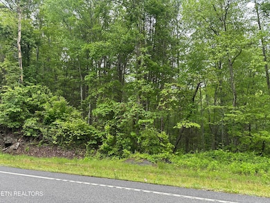 8472 Highway 25 W N, Duff, TN 37729 - photo 6