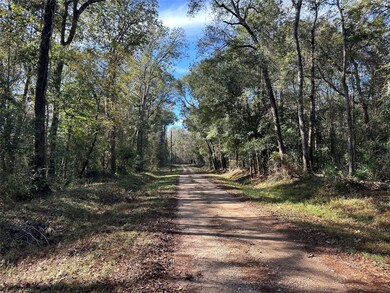 0 County Road 3612 unit 93554051, Navasota, TX 77372 - photo 5