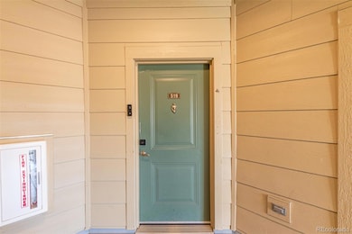 4100 Albion St unit 519, Denver, CO 80216 - photo 5