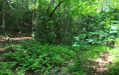 Additional View