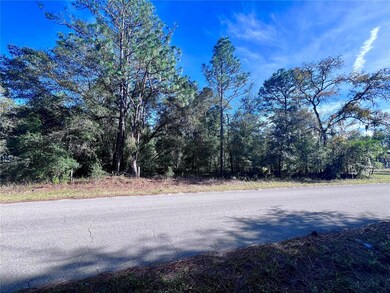 TBD SW 209th Court Rd, Dunnellon, FL 34431 - photo 4