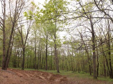 380 Liberty Cir, Prospect, TN 38477 - photo 2