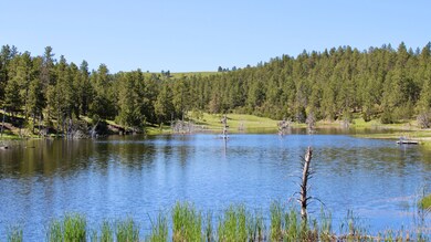 100 Mule Creek Rd, Hulett, WY 82720 - photo 5