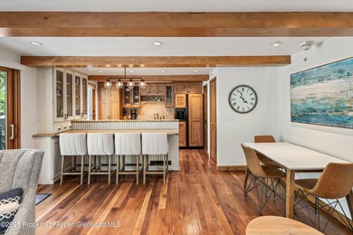 1034 E Cooper Ave unit 16A, Aspen, CO 81611 - photo 7