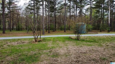 551 Liberty Shores Blvd, Vincent, AL 35178 - photo 6