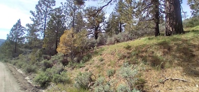 16401 Jungfrau Way Lot 9, Tehachapi, CA 93561 - photo 4