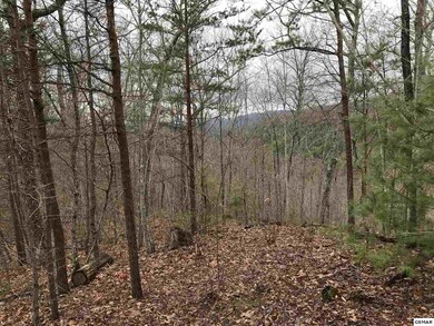 0 Lot 5-E Stackstone Rd, Sevierville, TN 37862 - photo 2