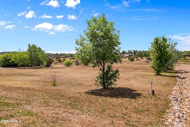 7019StagecoachPass-ShowLow-AZ-6