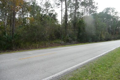 0 Old Deland Rd, Daytona Beach, FL 32124 - photo 7