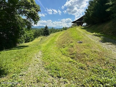 1015 Kizzy Patch Way, Del Rio, TN 37727 - photo 2