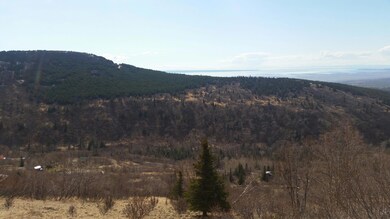 L1L2 Canyon Rd, Anchorage, AK 99516 - photo 7