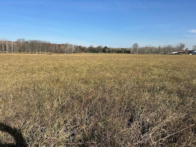 10916 Howard city-edmore rd 4