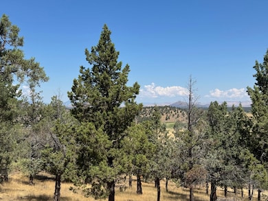 Unit 9-1 Lot 32 Palomino Rd unit 9-1, Lake Shastina, CA 96094 - photo 2