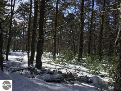 0 Canton Trail, Ogemaw Township, MI 48661 - photo 3