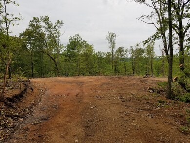 0 Hurricane Creek Rd unit 2153987, Linden, TN 37096 - photo 3