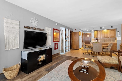 314 N Tamarron Dr unit 203, Durango, CO 81301 - photo 6