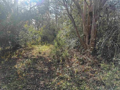 1948 Few Chapel Rd, Greer, SC 29651 - photo 4