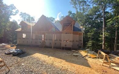Additional View