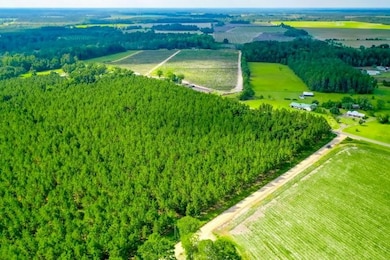 4060 County Farm Rd, Blackshear, GA 31516 - photo 3