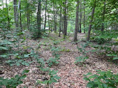 00 Pond Brook Rd unit 14, Chesterfield, NH 03466 - photo 4