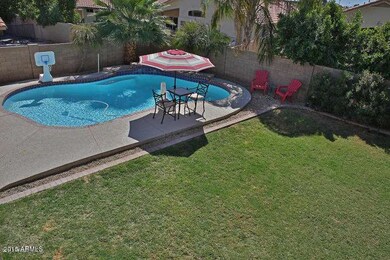 backyard 1