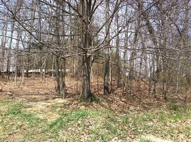 11787 Kayden Ln SE, Lowell, MI 49331 - photo 3