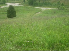 0 Stacy Rd unit 265076, Metamora, IN 47030 - photo 2