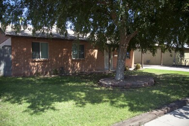 Front Yard