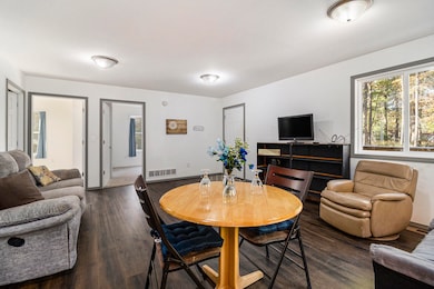 6483 S Emma Ave, Baldwin, MI 49304 - photo 5