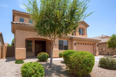 2804 E Cobalt Street Chandler-large-002-