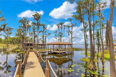 11103 Bridge House Rd, Windermere, FL 34786 - photo 3