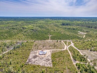 Lot 5 Rock Crusher Rd, Crawfordville, FL 32327 - photo 6