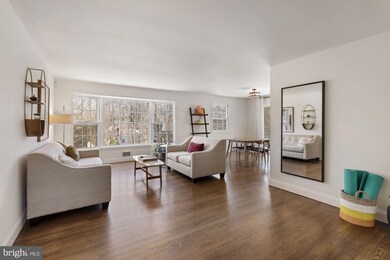 12813 Camellia Dr, Silver Spring, MD 20906 - photo 4