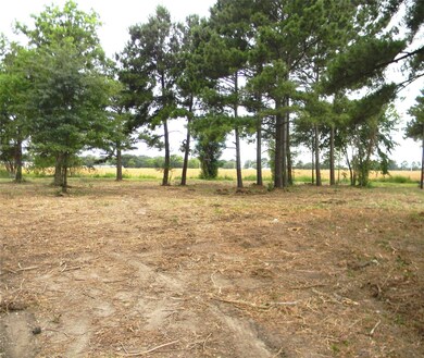 19827 Kimball Ln, Hockley, TX 77447 - photo 2