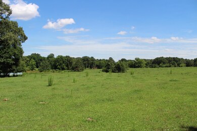 Lot shot 2