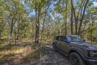 655 Vz Cr 2904, Eustace, TX 75124 - photo 7