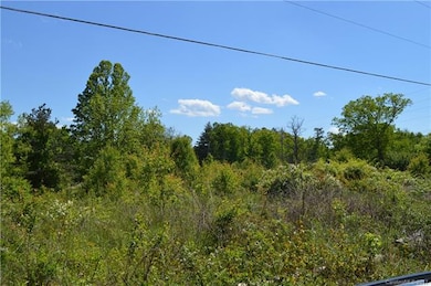 999 Bear Creek Rd, Leicester, NC 28748 - photo 4