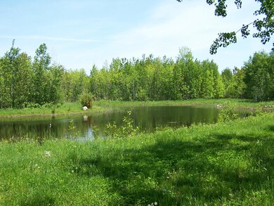 Pond